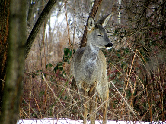 Už nech skončí zima brr..