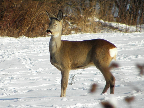 Prvé teplé lúče...
