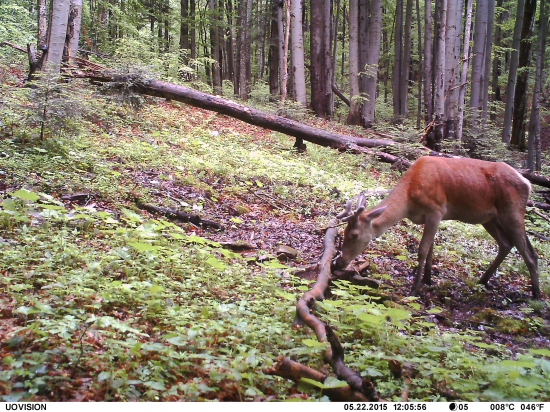 Už je tam.