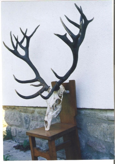 Ďalší zo Slánských vrchov