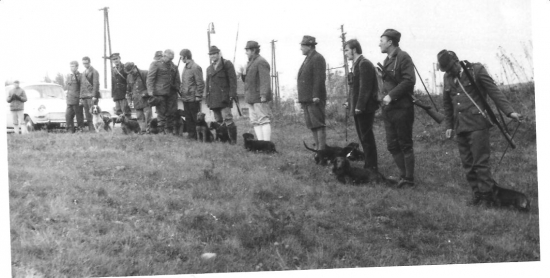 skúšky malých plemien psov 1973