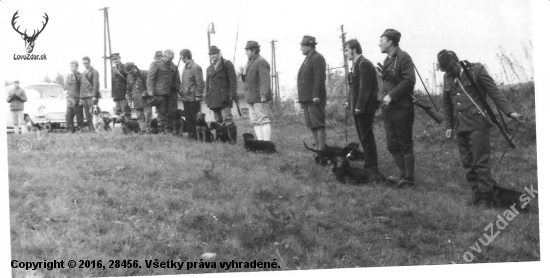 skúšky malých plemien psov 1973
