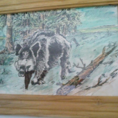 švagrova tvorba