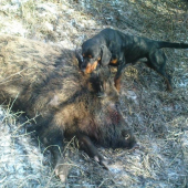 úspešná dohľadávka slov.kopova