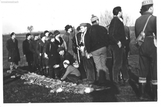 poľovačka na zajace spomienka