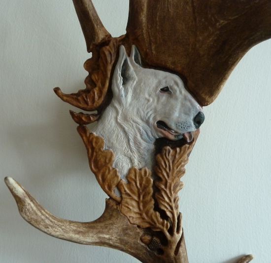 Scheila - Portret Bulteriera