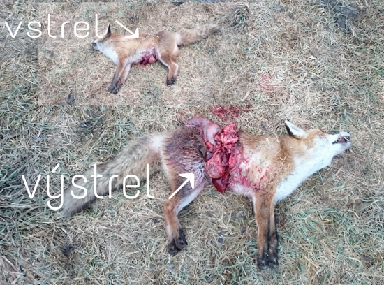 Hornady SST 11,7 g - 30-06