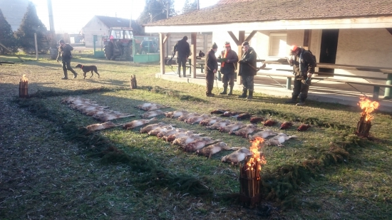Silvestrovská poľovačka