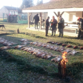 Silvestrovská poľovačka