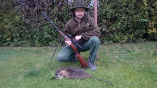 Nutria