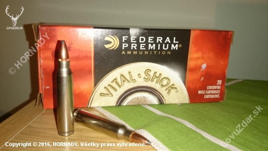 223r Federal Nosler partition