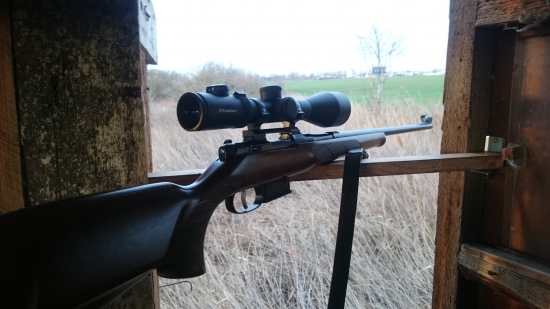 CZ 527 -223remington