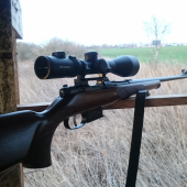 CZ 527 -223remington