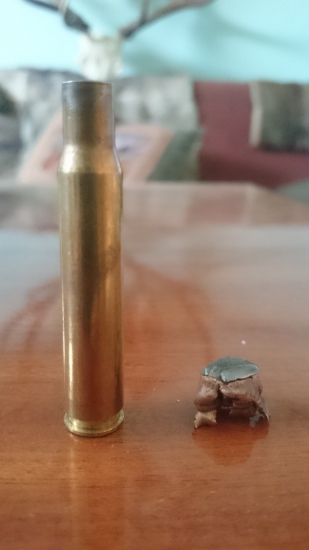 Hornady sst 30-06, 11,7 g