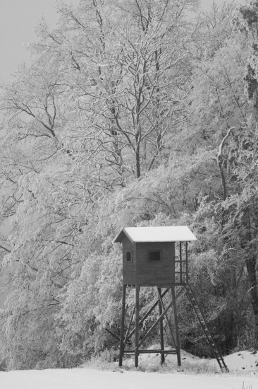 posed v zamrznutej krajine