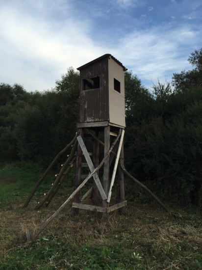 Oprava a kosenie pod posedom