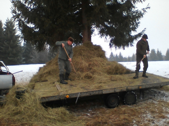 Dnešné prikrmovanie