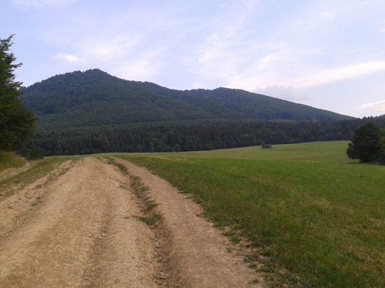 Podmalenicou