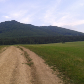 Podmalenicou