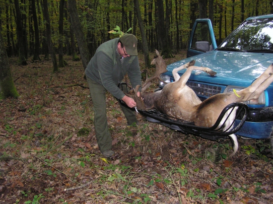 Prepava ulovenej zvery