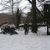 Dnesne prikrmovanie