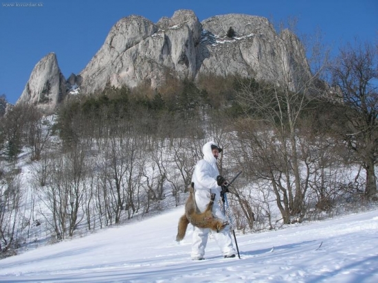Už sa nese lišiačik.