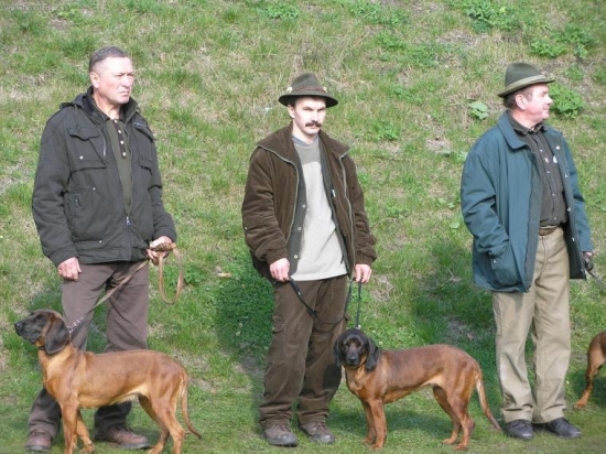 bonitacia Terchova 2008