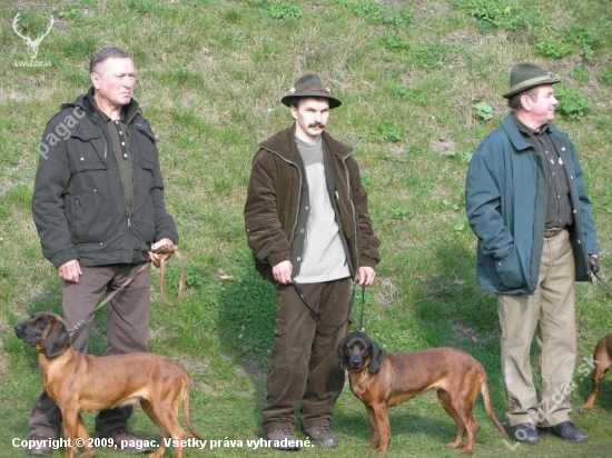 bonitacia Terchova 2008