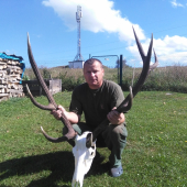 škodnik po uprave