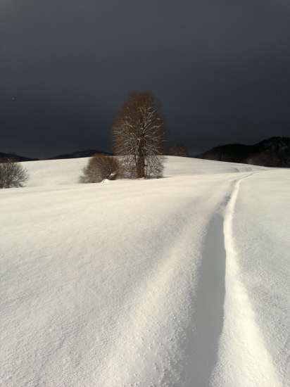 Krásny kontrast prírody