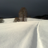 Krásny kontrast prírody
