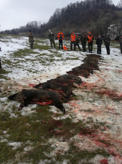 spoločná poľovačka