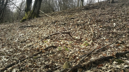 nájdený do páru po štyroch rokoch