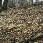 nájdený do páru po štyroch rokoch