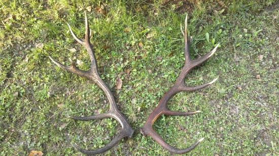 Opäť spolu po štyroch rokoch