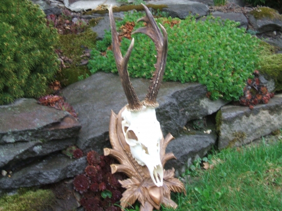 nepravidelny osmacik-26cm.