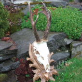 nepravidelny osmacik-26cm.