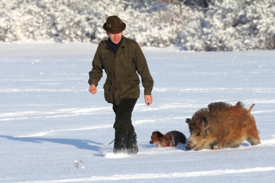 aj vhlbšom snehu treba ist...foto Ivan Knaze-fotograf prirody a spisovatel.