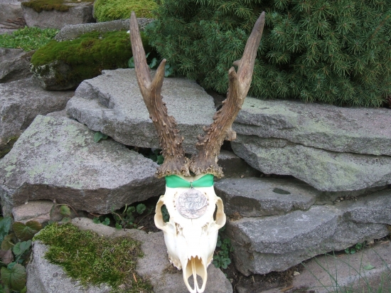 127,66  dnes som ho dostal od velmi stareho polovnika.