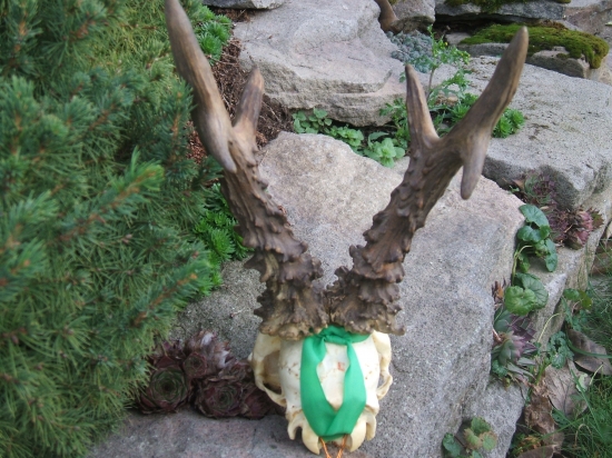 127,66 pohlad zo zadu.