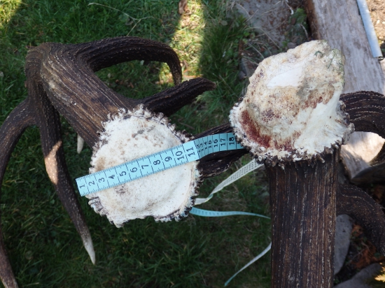 detail k fotke id. 289036