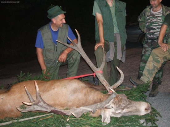 kamaratov zivotny kral pohoria Vtacnik.