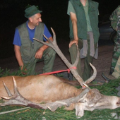 kamaratov zivotny kral pohoria Vtacnik.