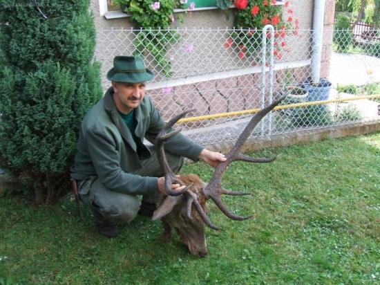 Kamaratov vytuzeny.ruja 2008