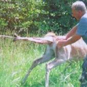 oco jej musel pomoct ,bola by uhynula