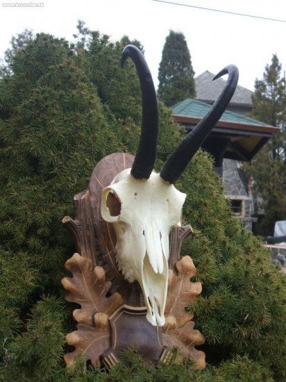 Pamiatka od kamarata.