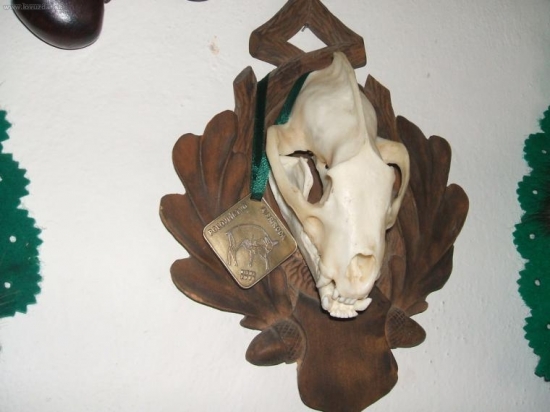 23,83 b .cic.zlato-od otca.