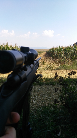 Savage axis 308w
