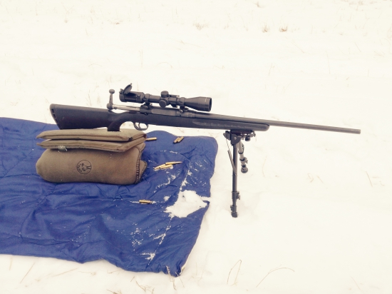Savage axis 308win