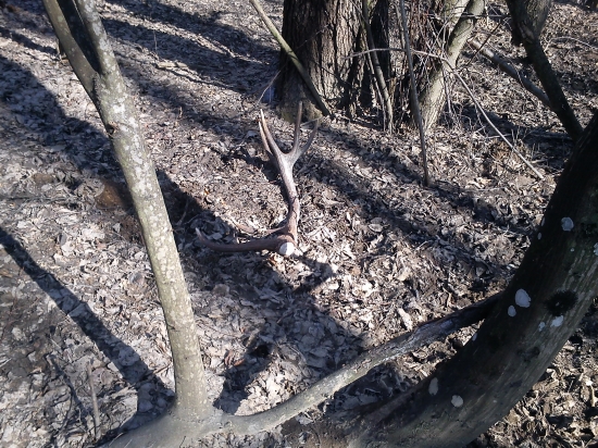 Na rozbeh v tomto roku, prvý pohľad